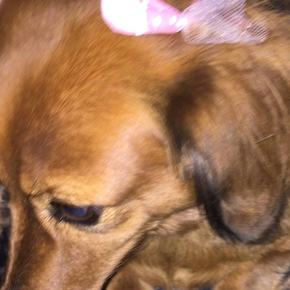 Meet your Posher, Marva - Picture 1 of 1